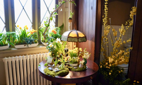 Duchess Suite - Firecracker Floral, to the Lyndhurst In Bloom album