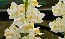View Image 13