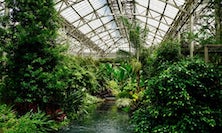 View Main Greenhouse