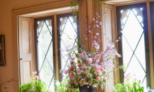 View Sitting Room - Firecracker Flower