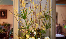 View Duchess Suite - Firecracker Floral