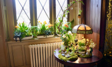 View Duchess Suite - Firecracker Floral