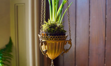 View Hallway - Firecracker Floral