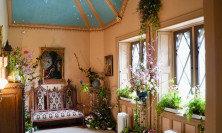 View Sitting Room - Firecracker Flower
