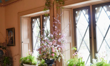 View Sitting Room - Firecracker Flower