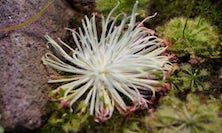 View img-0008.jpg