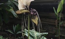 View img-0044.jpg