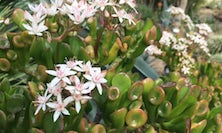 View img-0065.jpg