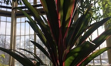 View img-0070.jpg