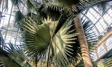 View img-0104.jpg
