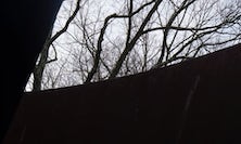 View Sylvester by Richard Serra